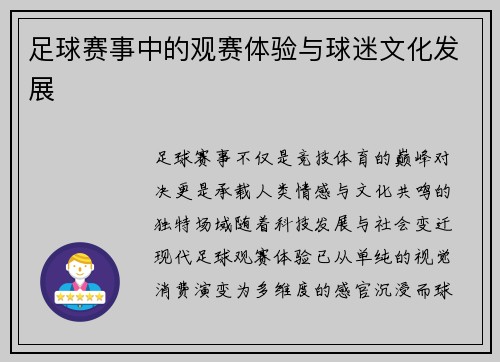 足球赛事中的观赛体验与球迷文化发展